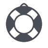 lifesaver-grey.png