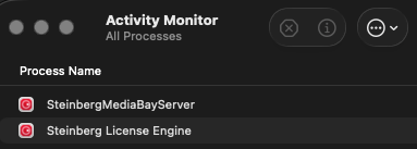 Activity Monitor showing the processes
